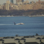 Sully: Zázrak na řece Hudson, místo nárazu na vodu, Let US Airways č. 1549